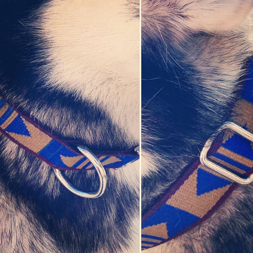 Halsband Indigo